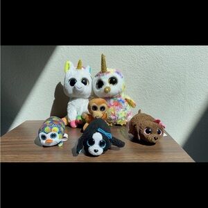 TY- Beanie Bundle-Maggie, Pixy, Pocket, Enchanted, Marci and Bongo 2017-2019